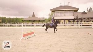 Молодая лошадь. Специализация конкур. Конкурная тренировка с Василием Ивановичем Лопатиным.