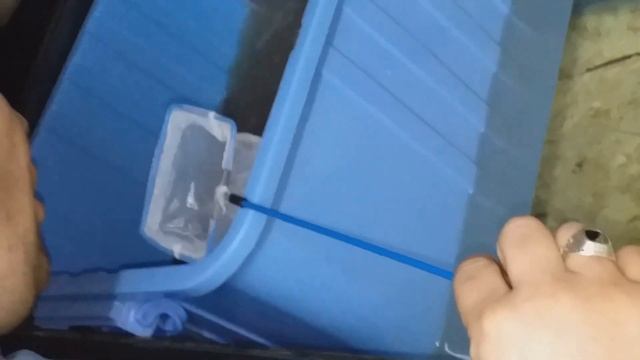 Клариевый сом. Первый опыт Покупка малька . Мини узв для клариевого сома. смотреть онлайн