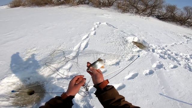 ДАВНО У МЕНЯ НЕ БЫЛО ТАКОЙ РЫБАЛКИ!!! ХАПУГИ ОПЯТЬ МЕНЯ УДИВИЛИ И ПОДАРИЛИ КУЧУ ЭМОЦИЙ... смотреть онлайн