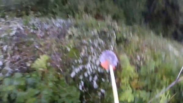 Вырубка деревьев и кустарника вдоль ВЛС.  SHTIL MS180 / SHTIL FS450