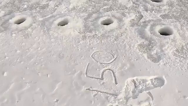 ? Беспроводная дрель ?