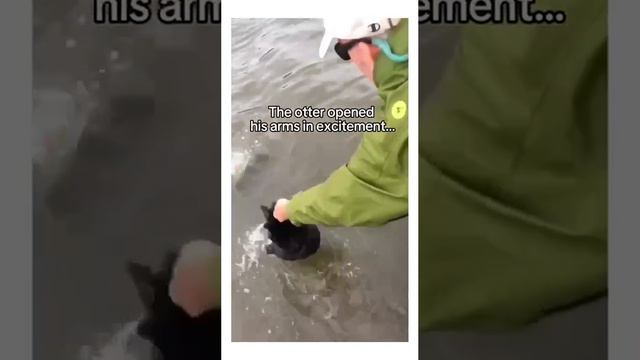 #meme #memes смотреть онлайн