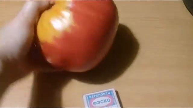 Урожай 2018 Томат МИНУСИНСКИЙ ИЗ ВЯТКИ смотреть онлайн