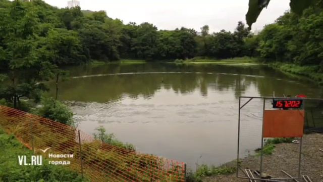 КУБОК ТИХОГО ОКЕАНА СУДОМОДЕЛЬНЫЙ СПОРТ смотреть онлайн