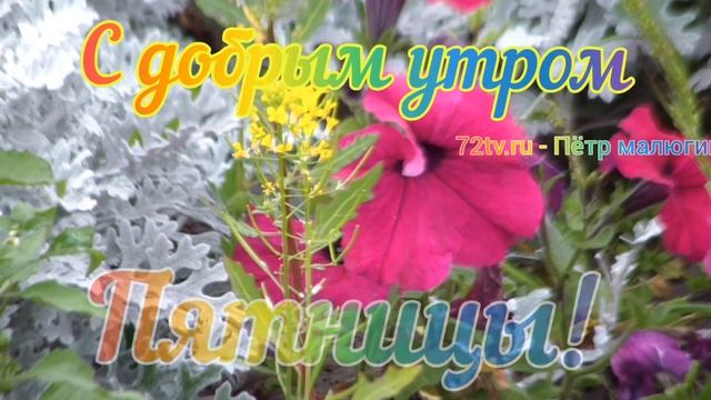 Музыкальная открытка - С добрым утром пятницы! смотреть онлайн