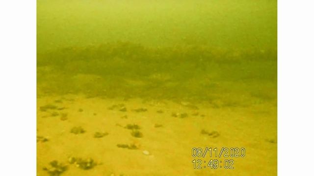 ПОДВОДНАЯ КАМЕРА ПРОТИВ ЭХОЛОТА! Трофейная щука поздней осенью | Что на самом деле под водой? смотреть онлайн