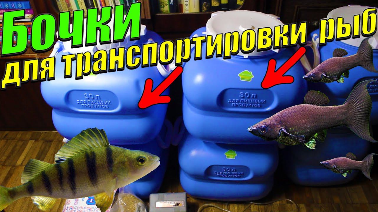 Привезли бочки для транспортировки аквариумных рыб! смотреть онлайн