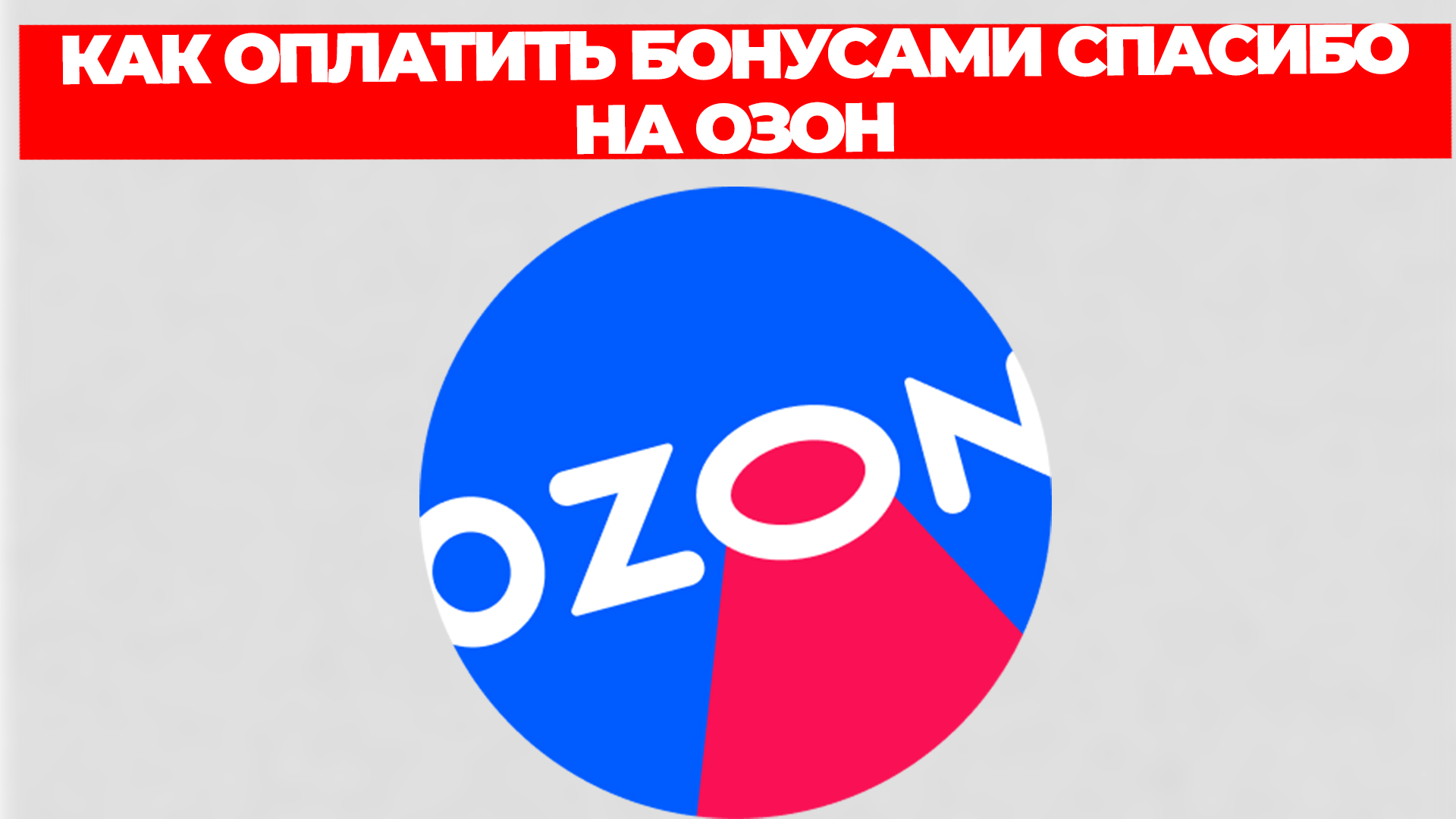 Всезнающий Енот