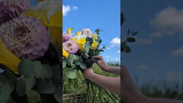 соберём все летние воспоминания в один солнечный букет ☀️ смотреть онлайн