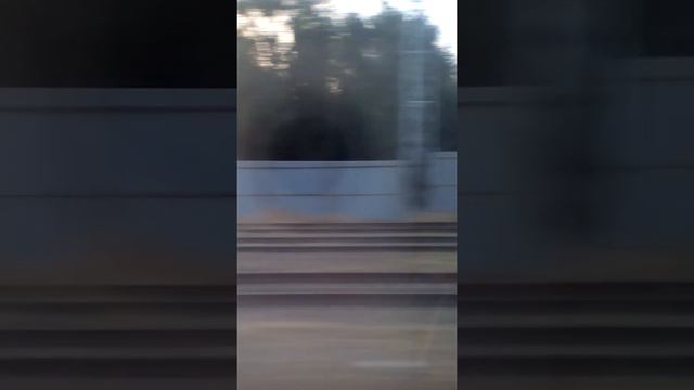 Спасибо вам большое что вы меня очень интересует смотреть онлайн