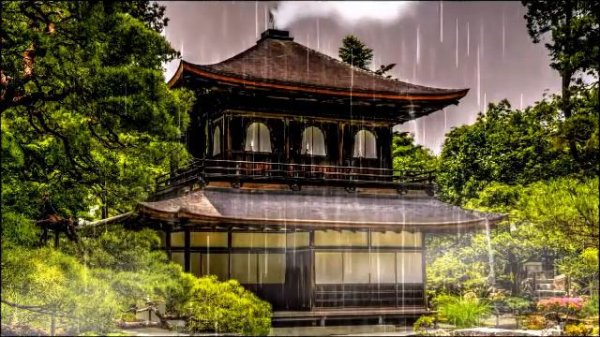 JAPANESE MUSIC TO RELAX 🎯ZEN MUSIC - SAKURA