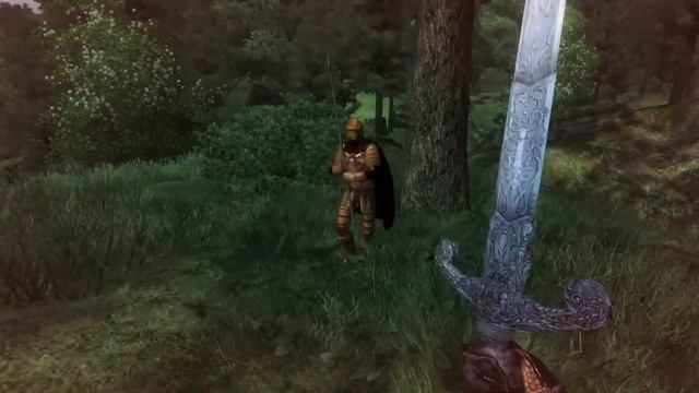 Maskar's Oblivion Overhaul Showcase смотреть онлайн
