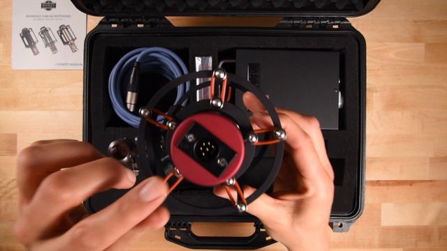 Manley Reference Cardioid | Unboxing & Review Powered by You смотреть онлайн