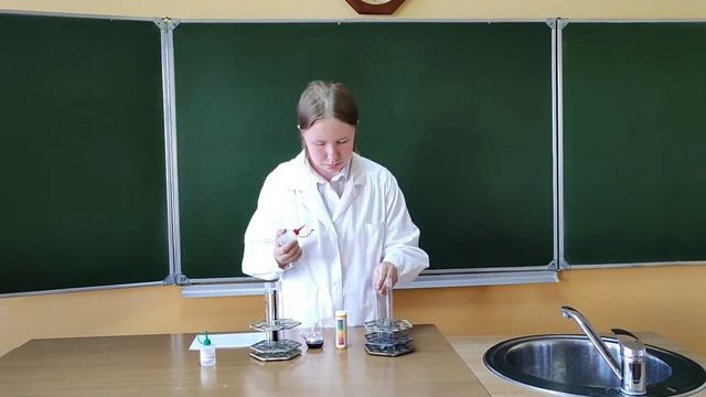 Курченкова Ксения Природные индикаторы смотреть онлайн