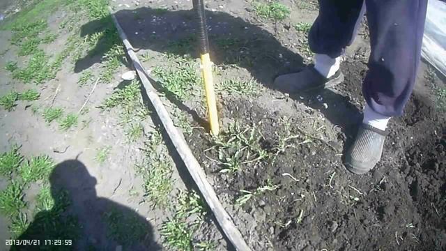 Культиватор "Торнадо" рыхлит грядки лучше лопаты смотреть онлайн