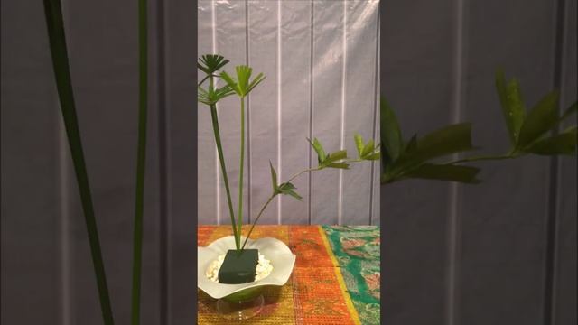 Rangkaian Pakis Payung #shortsvideolenny,#belajarmerangkai, #caramerangkai,#bungameja,#lennybungaku