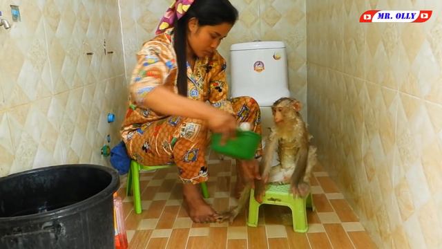Smart Mr. KAKO Taking Bath On Chair смотреть онлайн