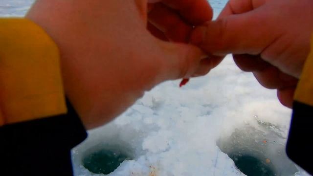 Зимняя рыбалка на Яузе 2020 года. смотреть онлайн