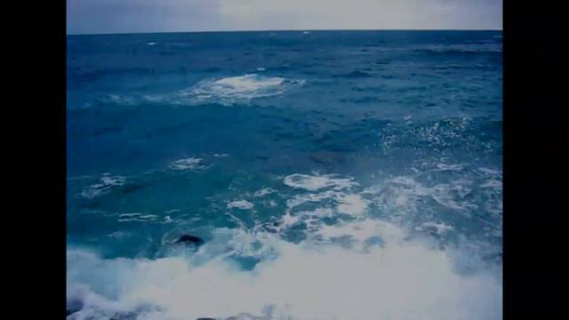 Ночное Чорное море смотреть онлайн