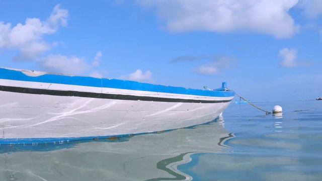 Baseline Study for Community Conserved Areas in Noonu Atoll смотреть онлайн