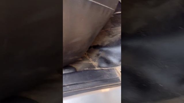 Ubicación De Un Sensor Velocidades No Muy Común...