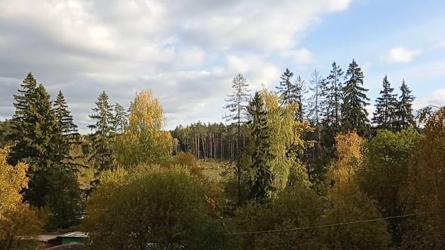 Искреннее стихотворение об осени смотреть онлайн