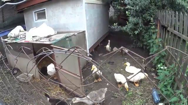 КАК СТАТЬ ФЕРМЕРОМ-2 смотреть онлайн