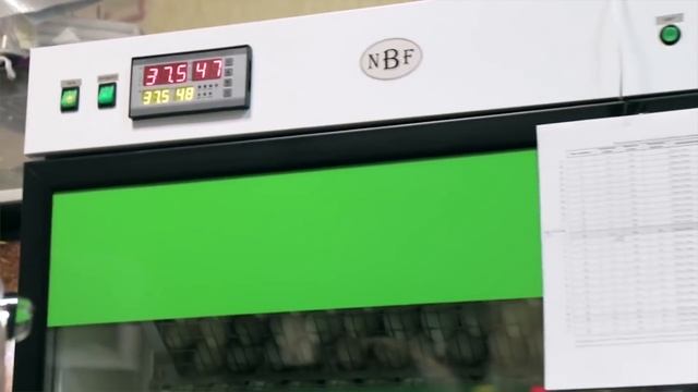 ШКОЛА ИНКУБАТОРОСТРОЕНИЯ #1 [ Основы инкубации яиц - в чем секрет хорошего вывода птенцов ] смотреть онлайн