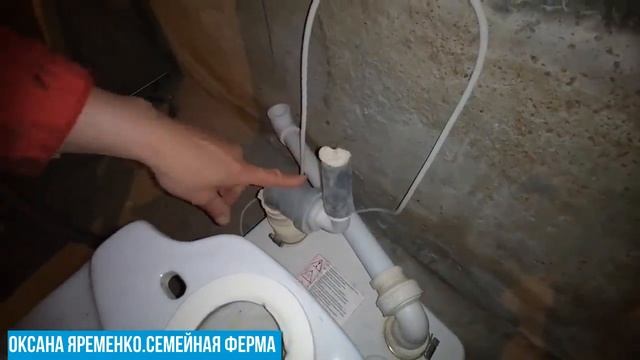 Доим коз/Какие сдвиги в доме? смотреть онлайн