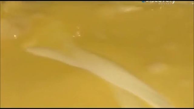 Как это сделано майонез? смотреть онлайн