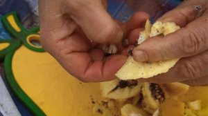 Готовим перепелов с золотистой корочкой на гриле Азербайджанская Кухня Деревенская Кухня  Рецепты