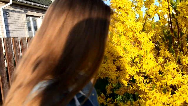 ЖИЗНЬ.Лучшие друзья смотреть онлайн