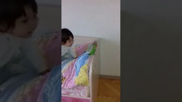 Не получилось поймать птицу смотреть онлайн