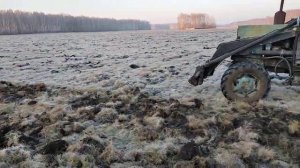 Дискование целины МТЗ-82 "Беларус" #tractor