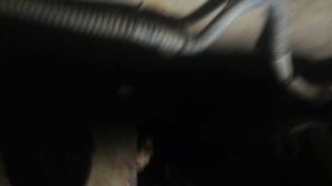 Шевроле нива регулировка кулисы кпп.