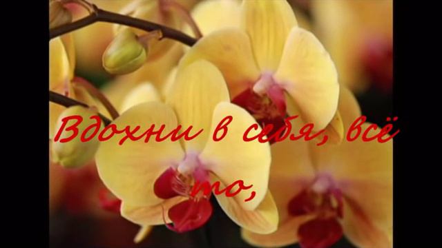 Поздравляю!!! смотреть онлайн