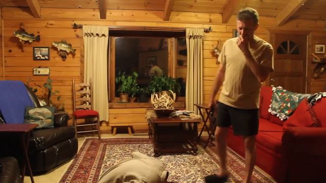 GuardDog Diablo flashlight Stun Gun test смотреть онлайн
