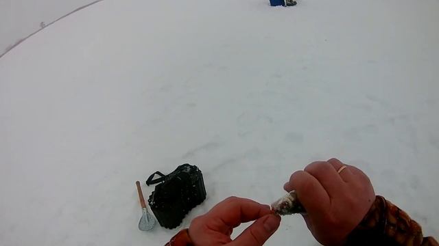 КРАСНЫЙ БОР БАКАЛКА, РЫБАЛКА НА ЖЕРЛИЦЫ С НОЧЁВКОЙ НА ЛЬДУ, ДИКИЙ КЛЁВ КРАСНОПЁРКИ. смотреть онлайн