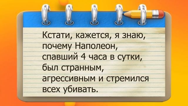 ✔️Тест на порядочность. Вставьте недостающие буквы в слово. Анекдоты с Волком.#ВГостяхУВолка смотреть онлайн