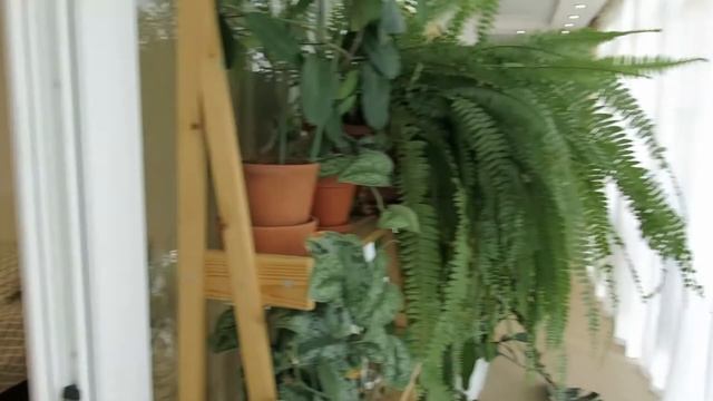 3-комнатная квартира с витражными остеклением, с ремонтом, мебелью и техникой у Чистяковской рощи смотреть онлайн