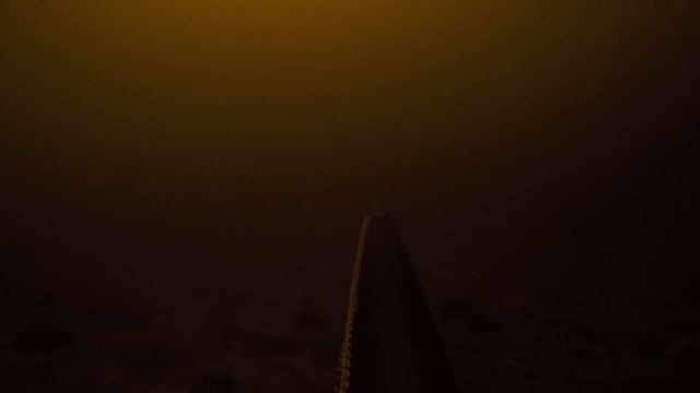 Подводная охота на толстолобика в реке Днепр в лежке смотреть онлайн