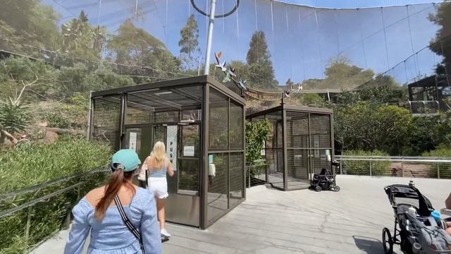 San Diego Zoo Full Tour 2022 | All Animals, Exhibits, Food & More смотреть онлайн