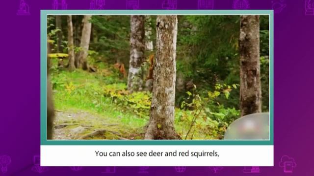 Английский язык. 8 класс. Nature reserves around the world /16.02.2021/ смотреть онлайн