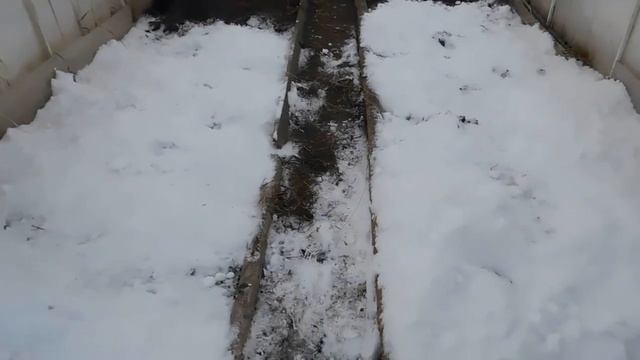 Накидайте снег в теплицу в конце зимы! Огород, сад, дача! смотреть онлайн