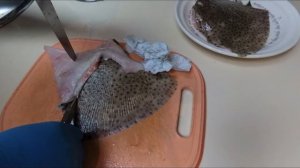 Разделка рыбы скат. Ray fish filleting
