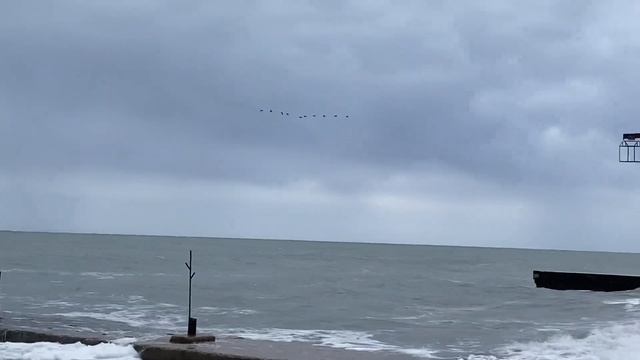 29.11.2023. Погода в Сочи в ноябре. Смотри на Чёрное море каждый день. смотреть онлайн