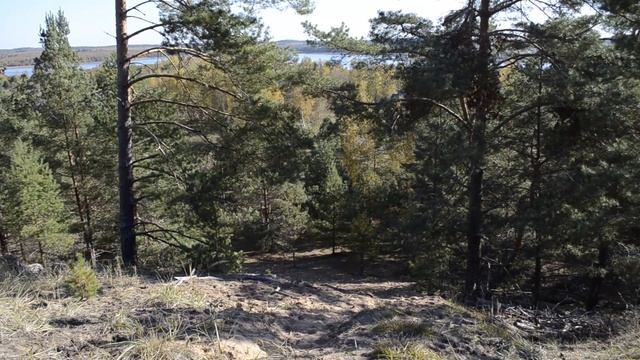 ОБЯЗАТЕЛЬНО посетите эти места. Окрестности деревни Лисно. Верхнедвинский район. КРАЙ лесов и озер смотреть онлайн