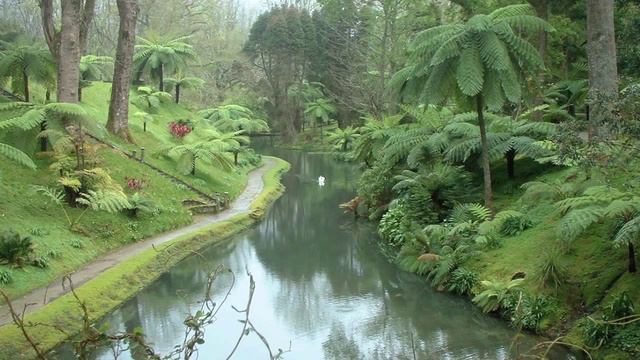 G Rossini Solfeggio No 4 For Bassoon and Harp смотреть онлайн