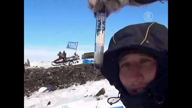 Топ 10 Шокирующих Животных Замерзших Во Льду. Зомби Чез смотреть онлайн