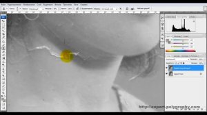 Реставрация фотографий в фотошопе. Удаление пятен.
